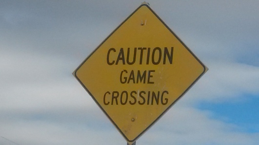 game crossing